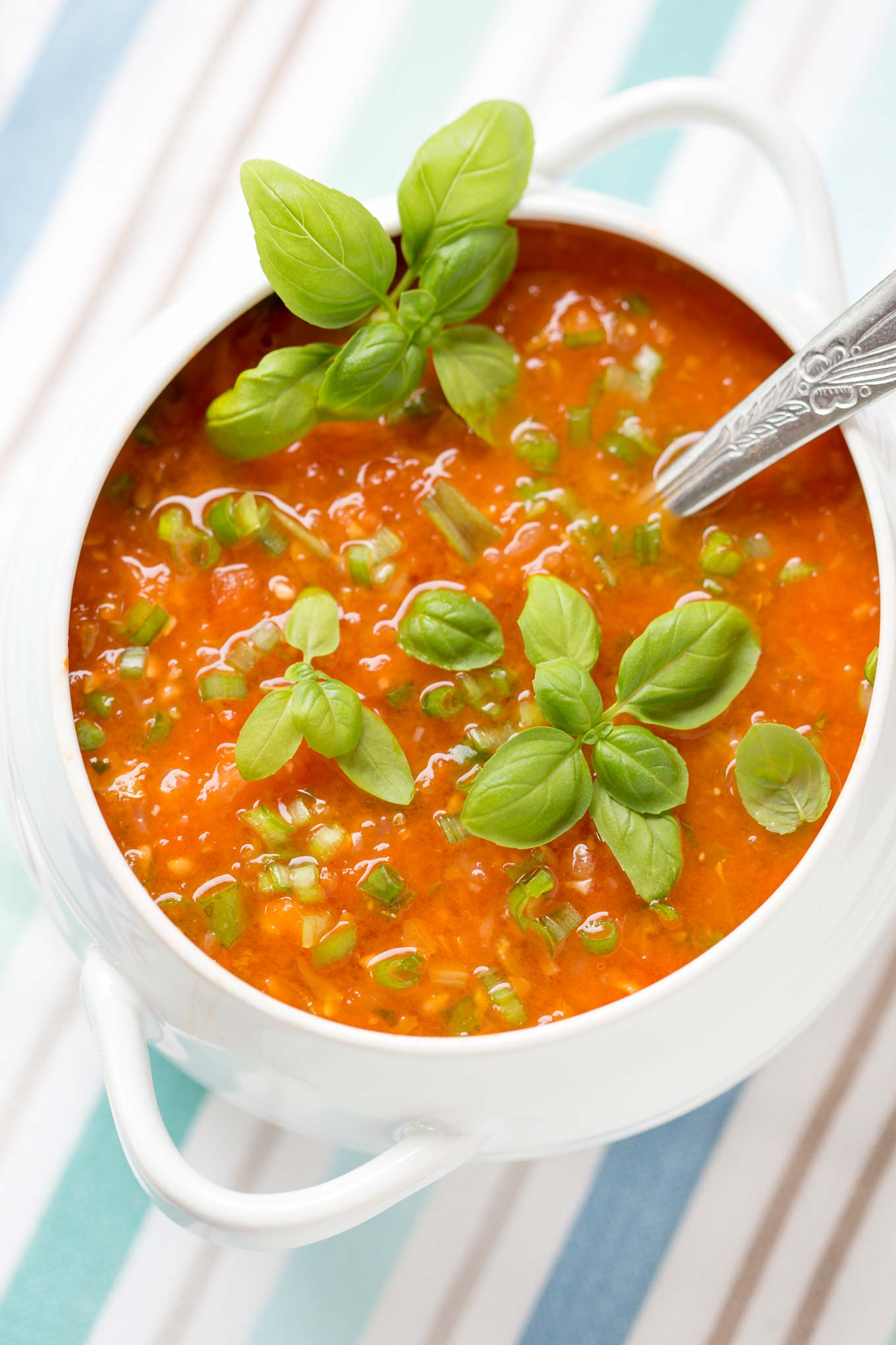 30 Min FRESH TOMATO SOUP RECIPE GARLIC MATTERS   Fresh Tomato Soup 2 